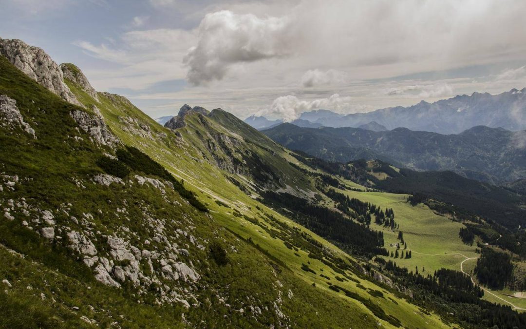 Preventing Cervical Cancer